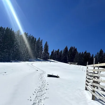Modernes Skihaus Auf Der Wolzenalp 33betten شقة *