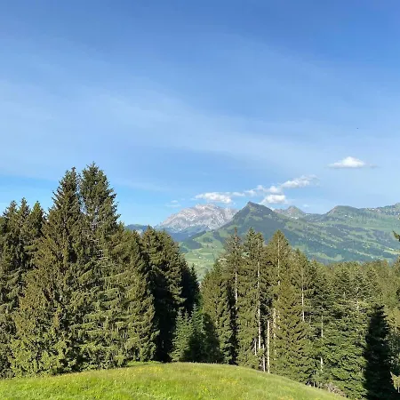 Modernes Skihaus Auf Der Wolzenalp 33betten Apartmán