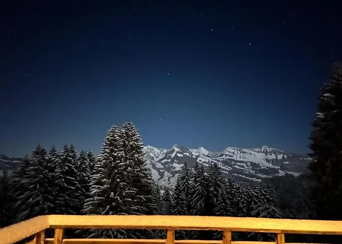 Modernes Skihaus Auf Der Wolzenalp 33betten *