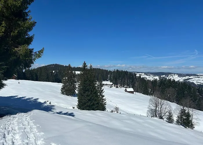 Lejlighed Modernes Skihaus Auf Der Wolzenalp 33betten *