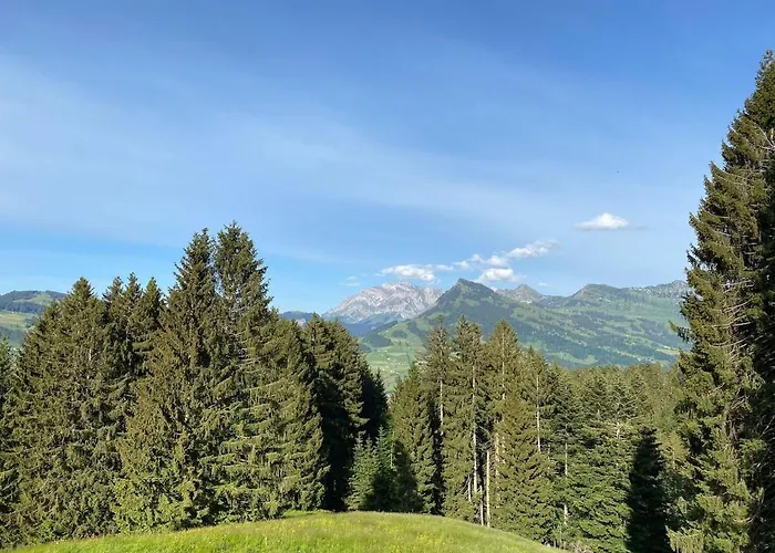 Modernes Skihaus Auf Der Wolzenalp 33betten Lejlighed