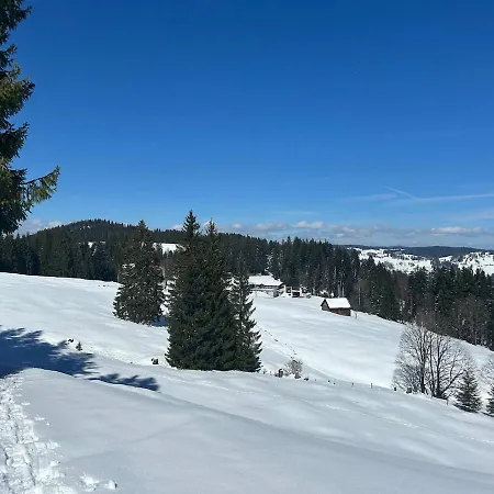 Daire Modernes Skihaus Auf Der Wolzenalp 33betten *